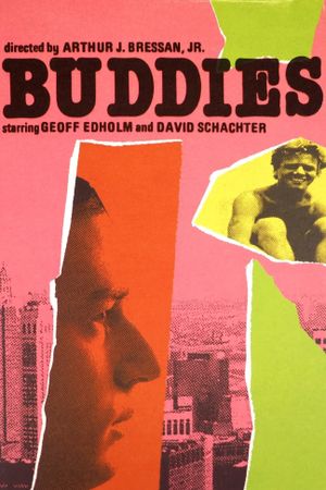 Buddies's poster
