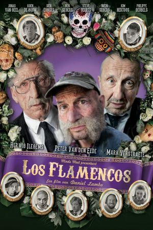 Los Flamencos's poster