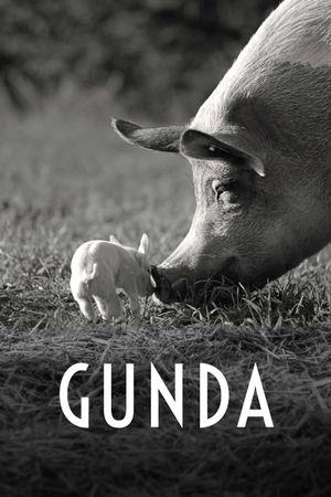 Gunda's poster