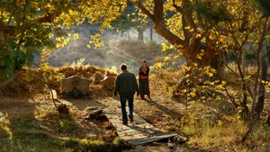 The Wild Pear Tree's poster