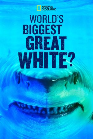 World's Biggest Great White?'s poster