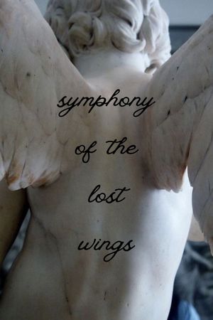 Symphony Of The Lost Wings's poster