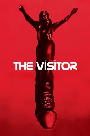 The Visitor's poster