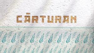 Carturan's poster