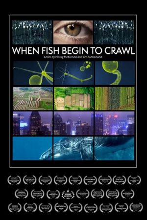 When Fish Begin to Crawl's poster