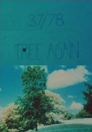 37/78: Tree Again's poster