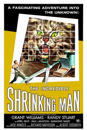 The Incredible Shrinking Man's poster