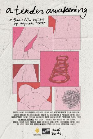 A Tender Awakening's poster