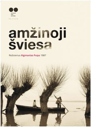 Amzinoji sviesa's poster