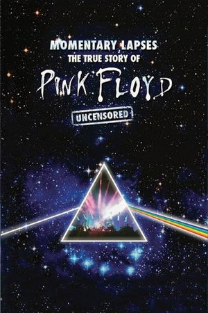 Pink Floyd: Momentary Lapses - The True Story of Pink Floyd's poster