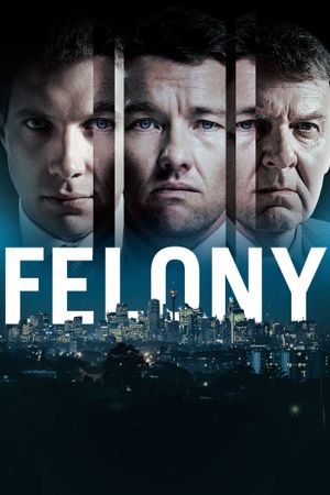 Felony's poster