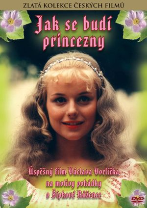 How to Wake a Princess's poster