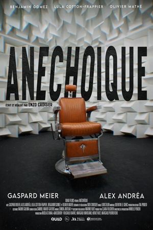 Anechoic's poster