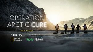 Operation Arctic Cure's poster