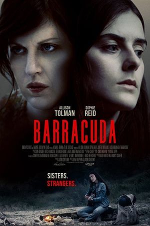Barracuda's poster