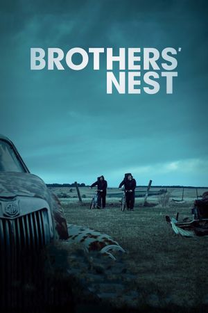 Brothers' Nest's poster