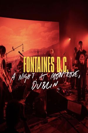 Fontaines D.C. - A Night at Montrose, Dublin's poster