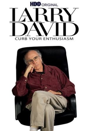 Larry David: Curb Your Enthusiasm's poster image