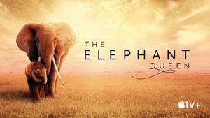 The Elephant Queen's poster