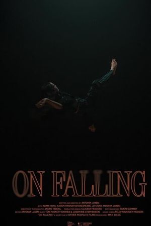 On Falling's poster