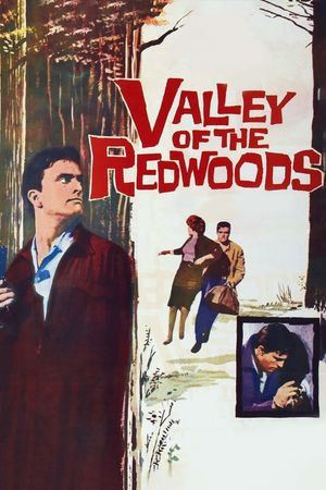 Valley of the Redwoods's poster image