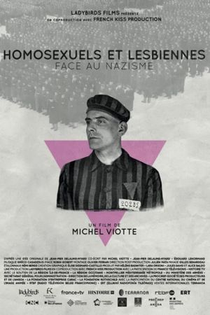 Pink Triangles, Homosexuals Facing Nazism's poster