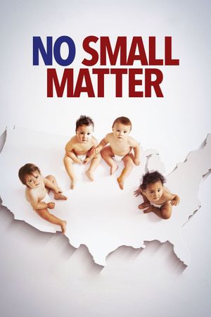 No Small Matter's poster image
