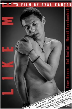 Like Me's poster image