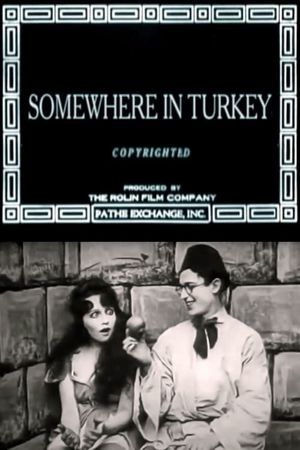 Somewhere in Turkey's poster