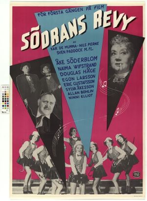 Södrans revy's poster