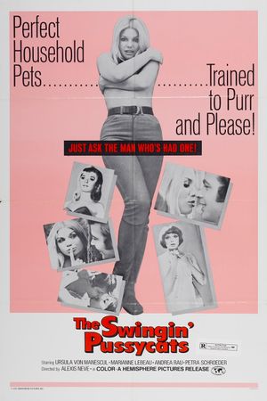 The Swingin' Pussycats's poster image