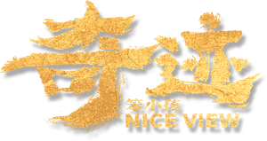 Nice View's poster