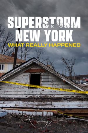 Superstorm New York: What Really Happened's poster image