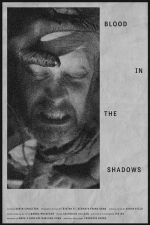 Blood in the Shadows's poster