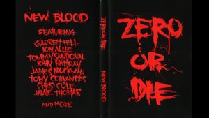 Zero - New Blood's poster