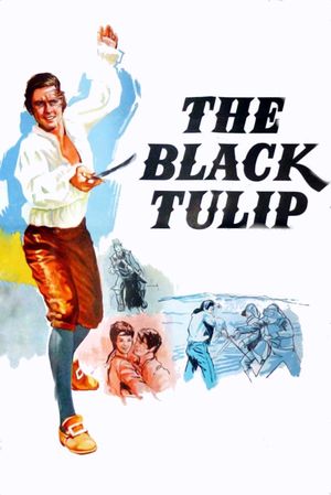 The Black Tulip's poster