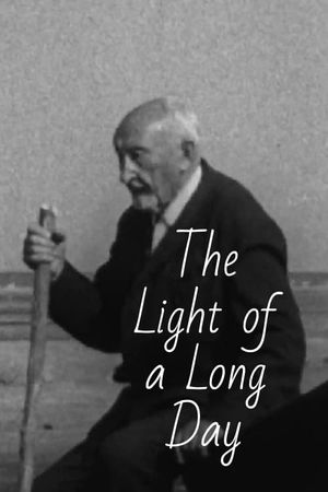 The Light of a Long Day's poster image