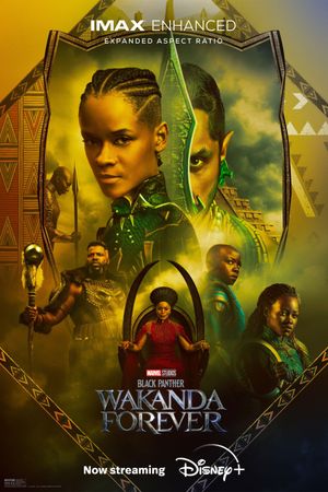 Black Panther: Wakanda Forever's poster
