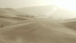 Queen of the Desert's poster