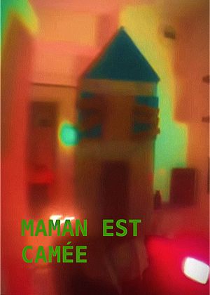 Maman est camée's poster