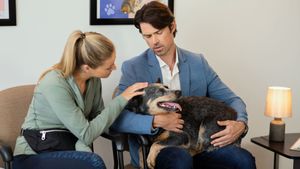 The Dog Lover's Guide to Dating's poster