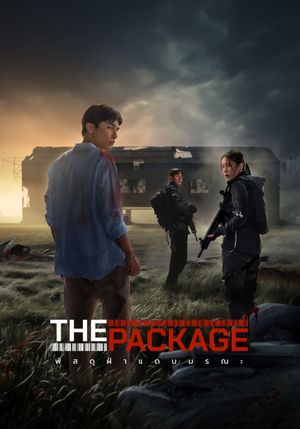 The Package's poster image