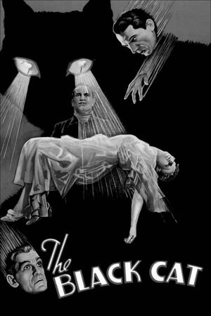 The Black Cat's poster