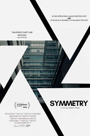 Symmetry's poster image