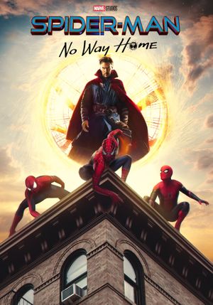 Spider-Man: No Way Home's poster