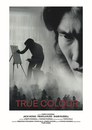 True Colour's poster