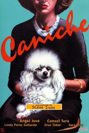 Caniche's poster