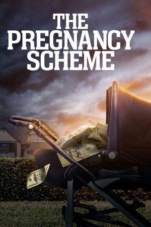 The Pregnancy Scheme's poster