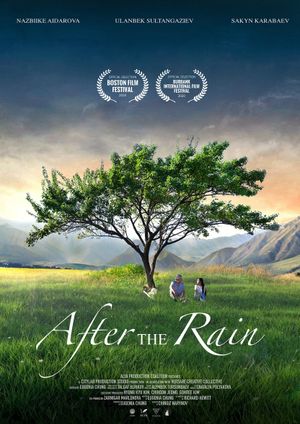 Jamgyrdan Kiin (After the Rain)'s poster