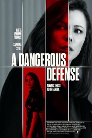 A Dangerous Defense's poster